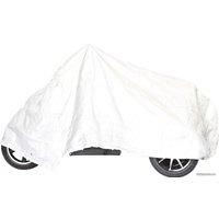 Электроскутер SkyBoard Trike Chopper-2000