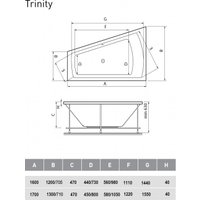 Ванна Vayer Trinity L 170x130