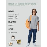 Школьный рюкзак Sled Влад А4 41x12x31 (оранжевый)