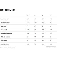 Велосипед Cube Access WS 29 L 2024 (airygreen'n'mint)