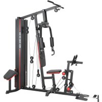 Силовой комплекс Alpin Neo Gym GX-300
