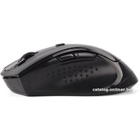 Мышь A4Tech G10-810FS