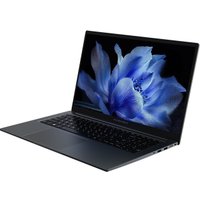 Ноутбук Maibenben P725 P7251SF0LGRE0 в Бресте