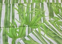 

Шторка-занавеска для ванны Miranda Bamboos Green