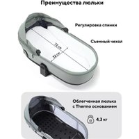 Универсальная коляска Rant Flex Therm RA112 (2 в 1, forest green)