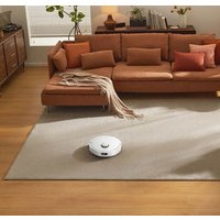 Робот-пылесос Dreame F21 Plus RLF42GD (евровилка, белый)