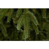 Ель GreenTerra Скандинавская 1.5 м
