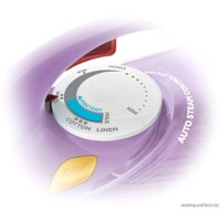 Утюг Philips GC3803/30