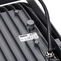 Уличный прожектор Wolta WFL-300W/06