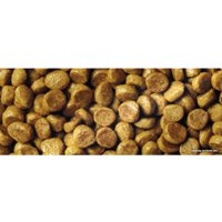 Сухой корм для кошек Pro Plan Elegant Adult OptiDerma с лососем 400 г