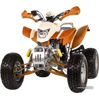 Квадроцикл IRBIS ATV 250S