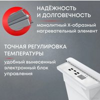 Конвектор Zeder 20EX-01