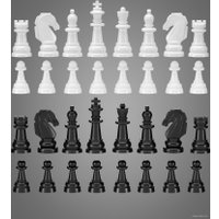 Шахматы/шашки Десятое королевство 03885 (серый) в Мозыре