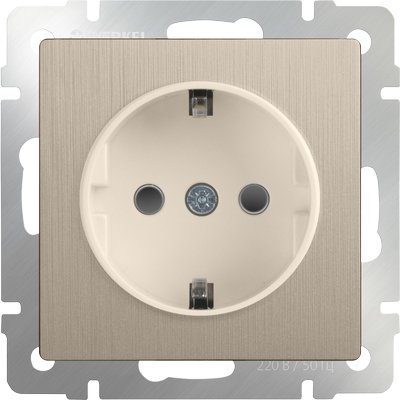 

Розетка Werkel WL10-SKG-01-IP20 (шампань рифленый)