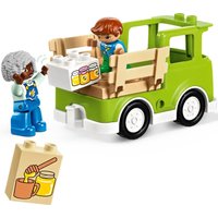 Конструктор LEGO Duplo 10419 Уход за пчелами и ульями