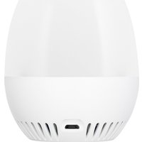 Монитор качества воздуха Levenhuk Wezzer Air PRO DM20 81407