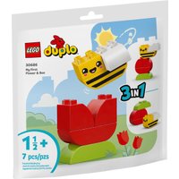 Конструктор LEGO Duplo 30686 Мой первый цветок и пчелка