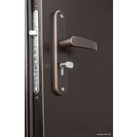 Металлическая дверь Промет Профи DL 205х125 (левый)