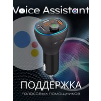 FM-модулятор Profit C73L