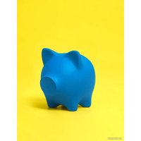 Копилка для денег PIG BANK свинка-копилка M (синий)