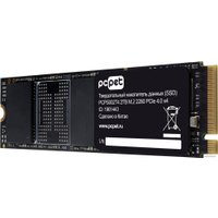 SSD PC Pet PCPS002T4 2TB