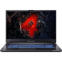 Игровой ноутбук Dream Machines RT3060-17RU20