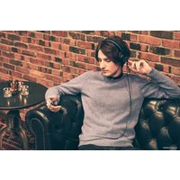 Наушники Sony MDR-1AM2 (черный)