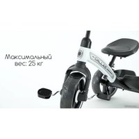 Детский велосипед Lorelli Dallas (серый)