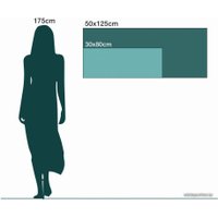 Картина на стекле Stamprint Две зебры AN013 (50x125)