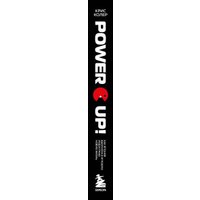 Книга издательства Эксмо. Power Up! Как Япония вдохнула в игровую индустрию новую жизнь (Колер К.)