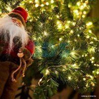 Светодиодная гирлянда роса Neon-Night «Роса» 303-216