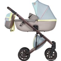 Универсальная коляска Anex E/type Special edition (2 в 1, Victor Wilson ET-SE02)