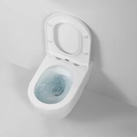 Унитаз подвесной Berges Wasserhaus Tornas Rimless + Visam Slim 525 EX-043408 (с кнопкой, с сиденьем)