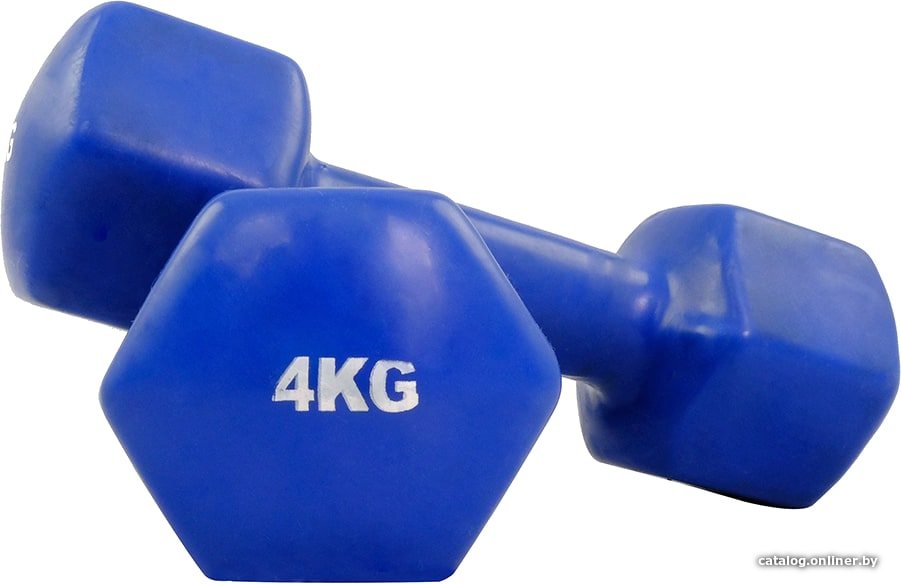Набор гантелей Protrain TA-2103-4 2x4 кг