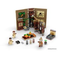 Конструктор LEGO Harry Potter 76384 Учеба в Хогвартсе: Урок травологии