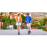 Электросамокат Ninebot Zing E10