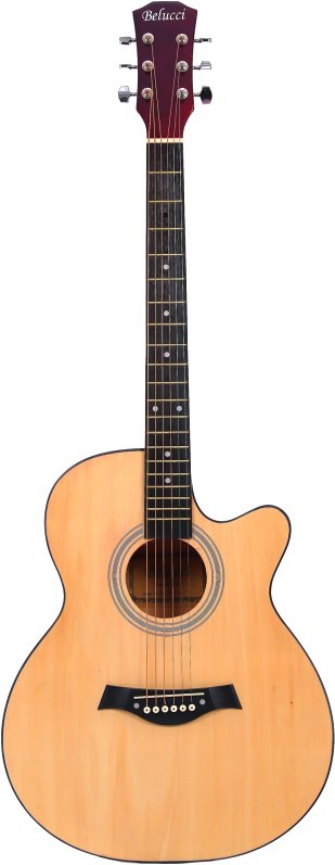 

Акустическая гитара Belucci BC4020 N