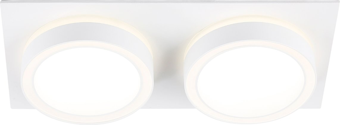 Точечный светильник Ambrella light TN52423/2 WH/FR (белый/белый матовый)