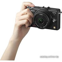 Беззеркальный фотоаппарат Panasonic Lumix DMC-GF2 Kit 14mm