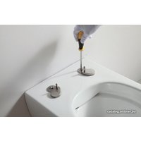 Унитаз подвесной SSWW CT2039V в Могилеве