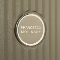 Чемодан-спиннер Francesco Molinary 344-8038/2-20GGN (серый/зеленый)