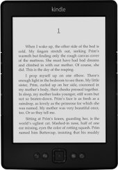 Amazon Kindle (5-е поколение)