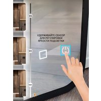 Зеркало с подсветкой  eMZe Smartphone 45x77 LED.UV.SMART.45.77.CHE (черный) в Пинске