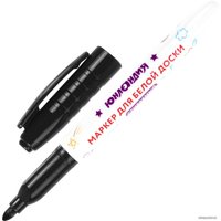 Набор маркеров Юнландия Colorway 152100 (10 шт)