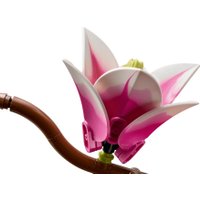 Конструктор LEGO Botanicals 11510 Ветви магнолии