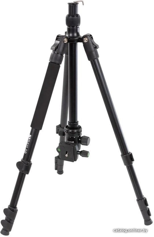 Трипод Raylab Pro 65 (с головой)