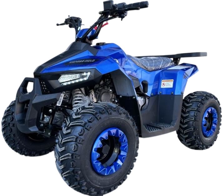 

Квадроцикл Yacota Raposa 110 куб.см. (синий)