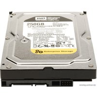 Жесткий диск WD RE4 250GB (WD2503ABYX)