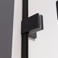 Душевая дверь Veconi Alassio AL-120-11-BB-C4 (стекло черное/черный)