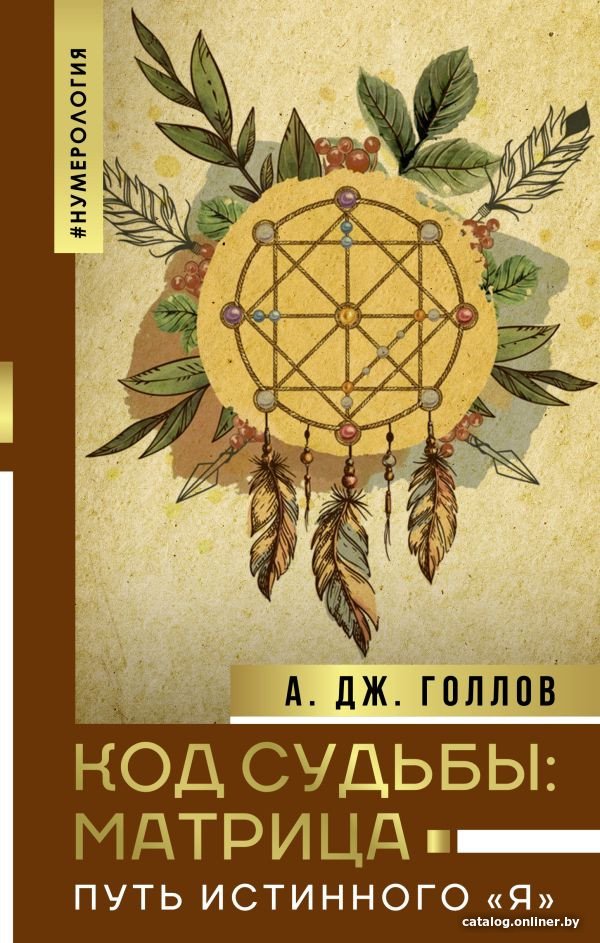 Книга издательства АСТ. Код Судьбы: матрица. Путь истинного Я (Голлов А.)